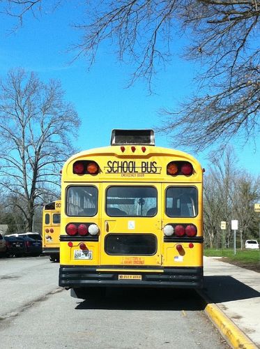 school-bus-stop